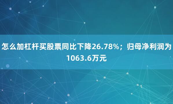 怎么加杠杆买股票同比下降26.78%；归母净利润为1063.6万元
