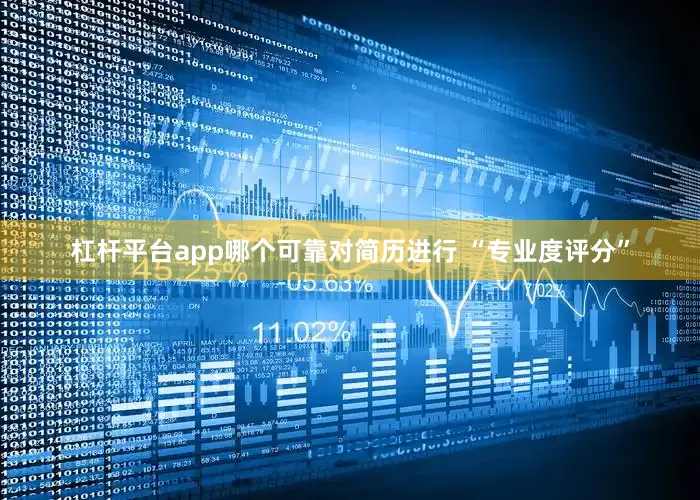 杠杆平台app哪个可靠对简历进行 “专业度评分”