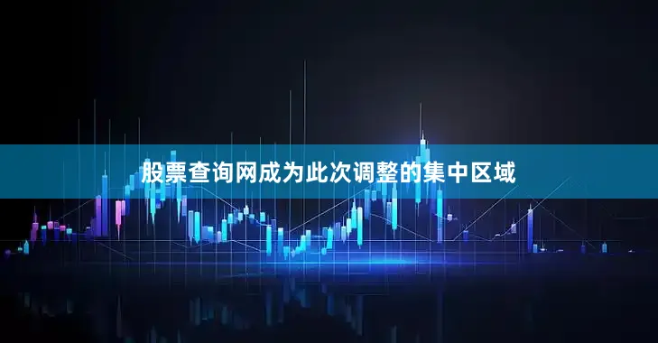 股票查询网成为此次调整的集中区域