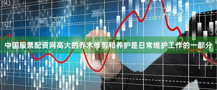中国股票配资网高大的乔木修剪和养护是日常维护工作的一部分