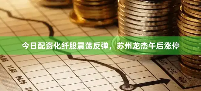 今日配资化纤股震荡反弹，苏州龙杰午后涨停