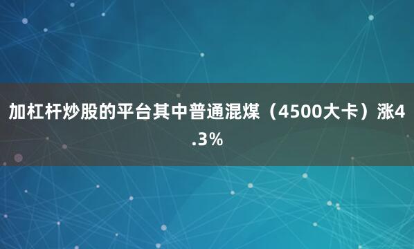 加杠杆炒股的平台其中普通混煤（4500大卡）涨4.3%