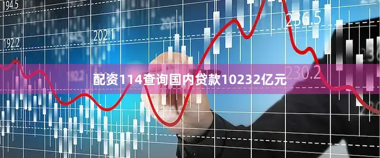 配资114查询国内贷款10232亿元