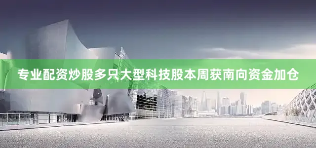 专业配资炒股多只大型科技股本周获南向资金加仓