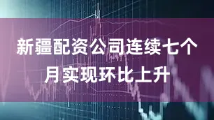 新疆配资公司连续七个月实现环比上升
