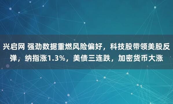 兴启网 强劲数据重燃风险偏好，科技股带领美股反弹，纳指涨1.3%，美债三连跌，加密货币大涨