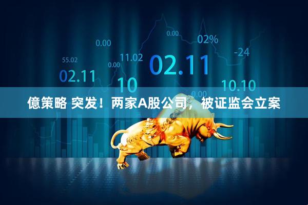 億策略 突发！两家A股公司，被证监会立案